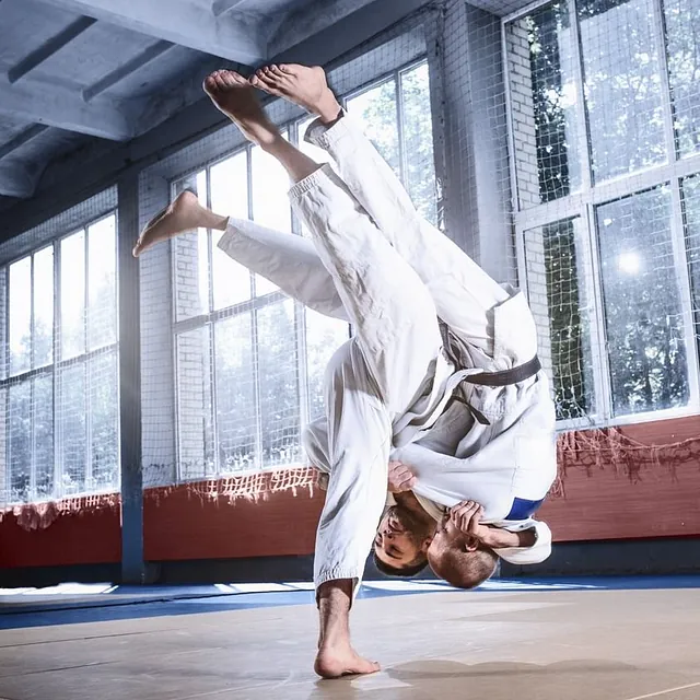 hombres en gimnasio practican aikido