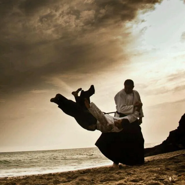 silueta hombre realizando artes marciales con fondo atarceder puerto de ciudad